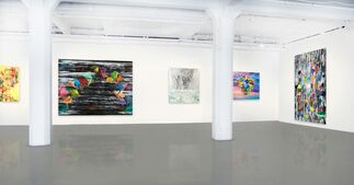 VOLOSSOM: InJung Oh Solo Exhibition, installation view