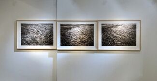 Inside The Reed and Ice Crystal -Stanley Fung and Xie Hong Dong Exhibition 道在稊稗冰晶 ─ 馮君藍 謝紅東 攝影聯展, installation view