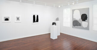 Amy Pleasant: Blink, installation view