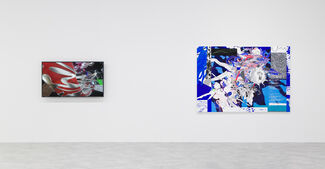 Illusive Particles, installation view