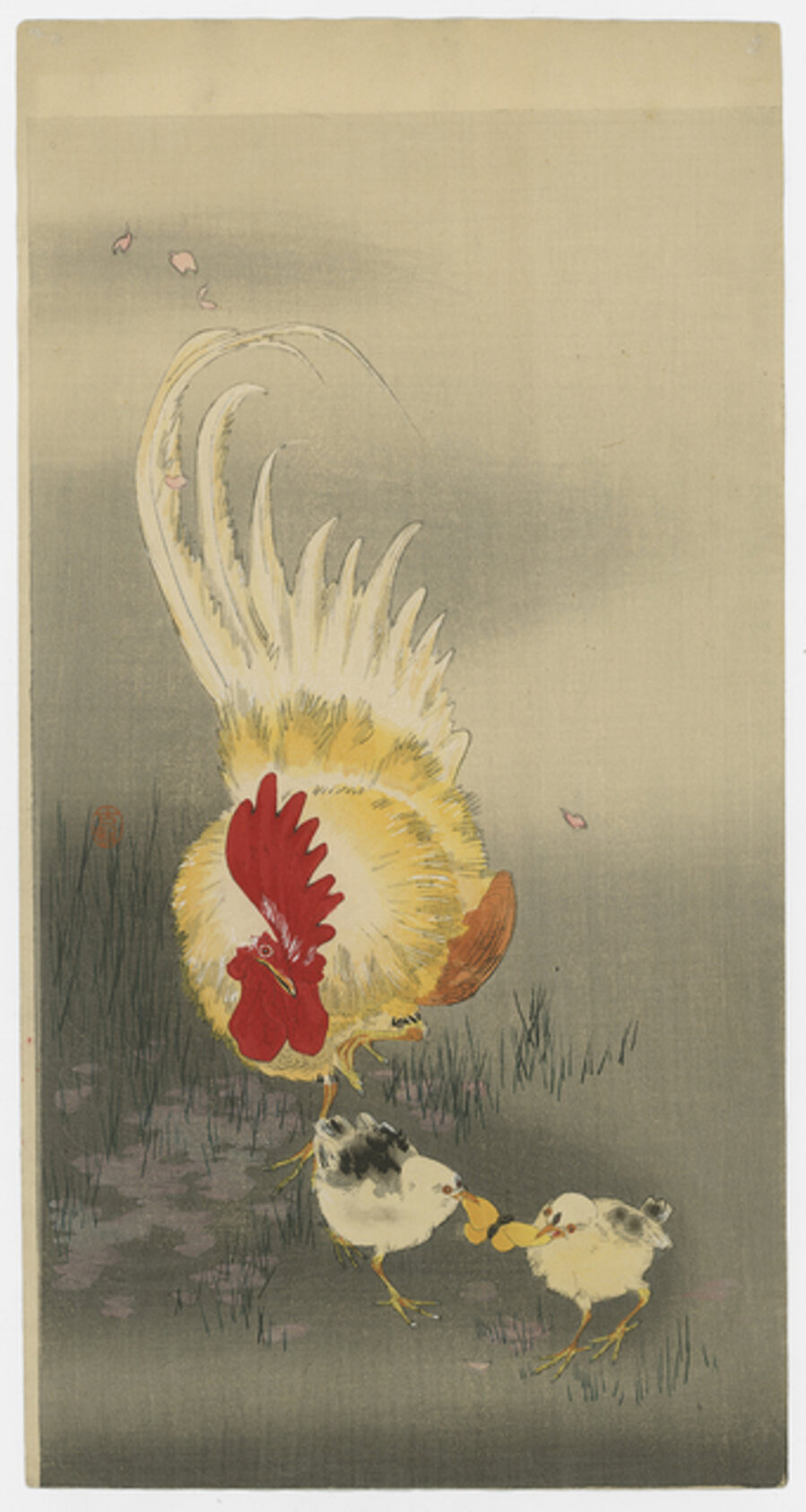 ROOSTER AND CHICKS
