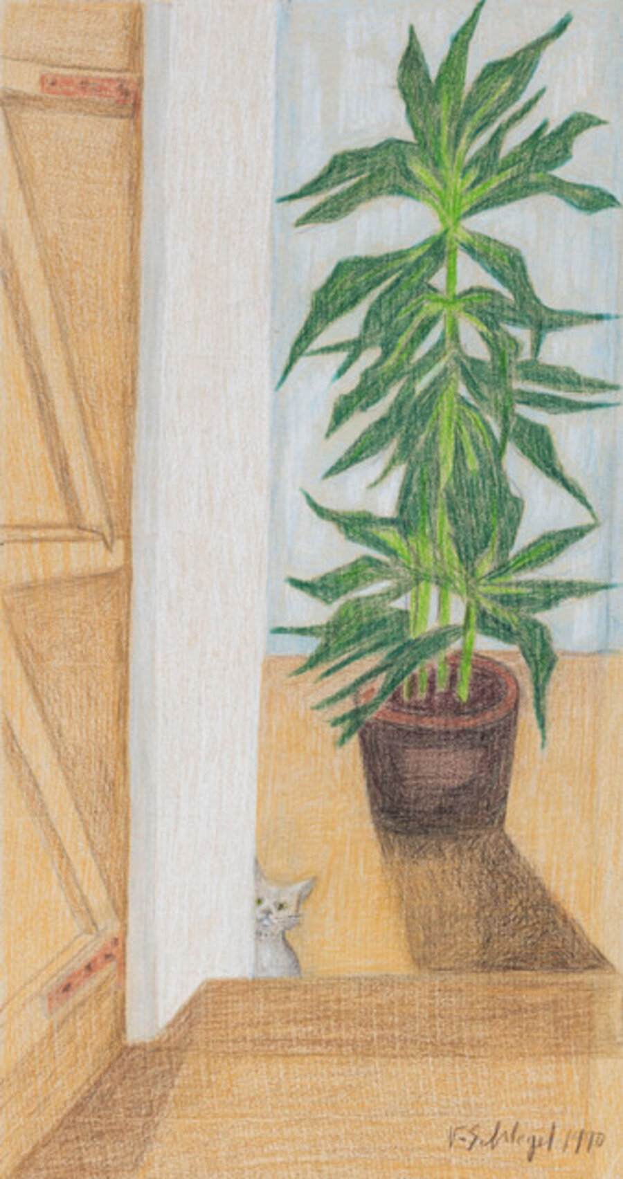 Untitled (Green Plant and Cat)