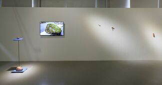 Holes, installation view