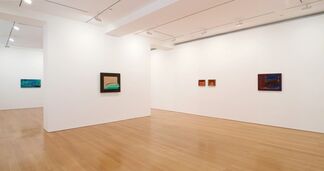 Howard Hodgkin: In the Pink, installation view