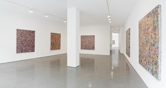 Oliver Arms, installation view