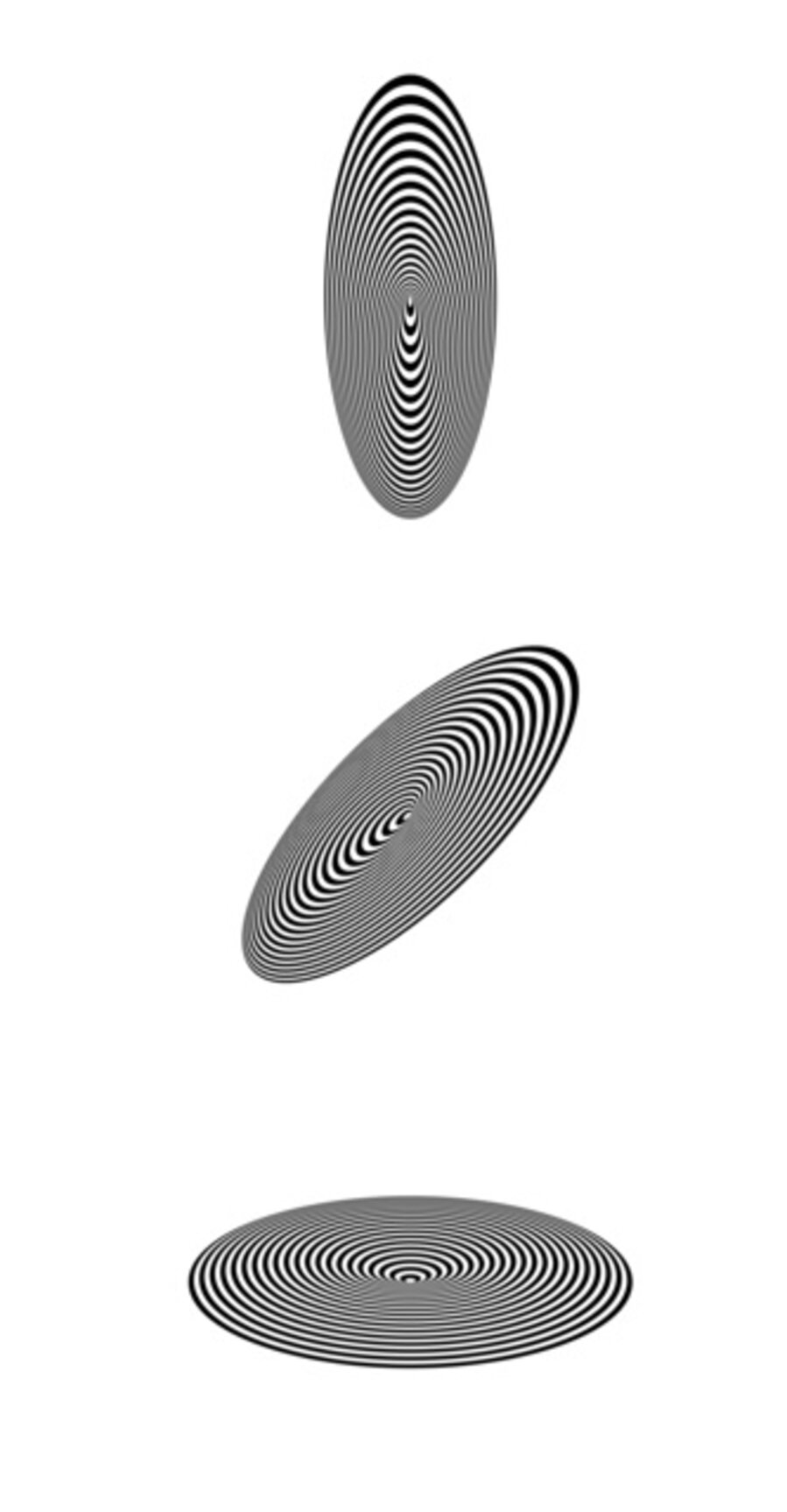 Dinamica ellittica xyz