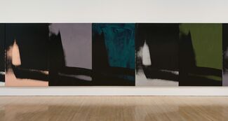 Andy Warhol: Shadows, installation view