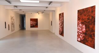 General Rouge, installation view