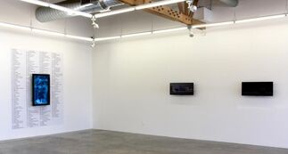 Jason Salavon: Recent Work, installation view
