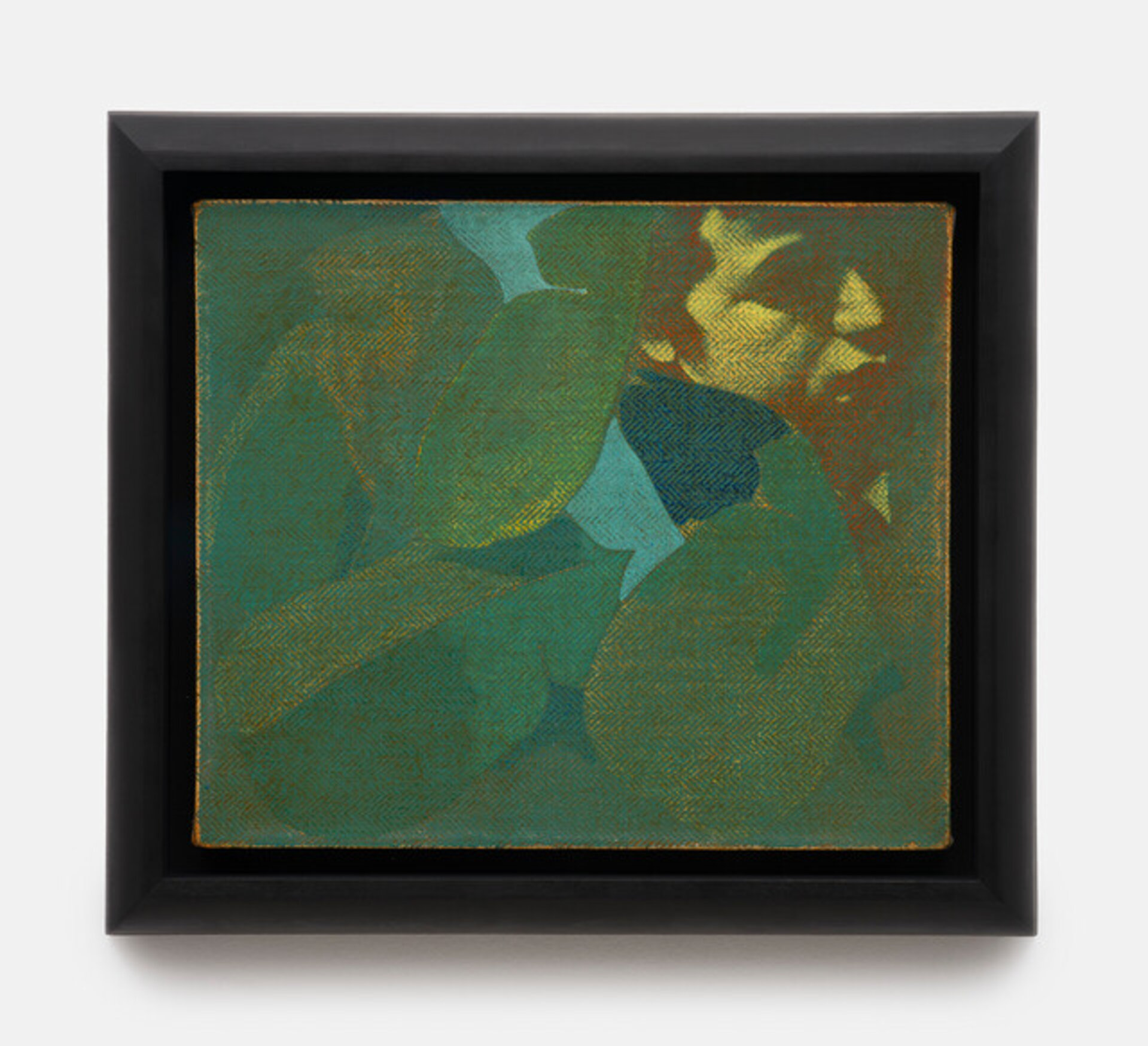 Velázquez Boy (With Leaves)