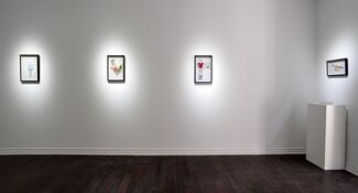 Andrés & Valentina Layos | Growing together, installation view