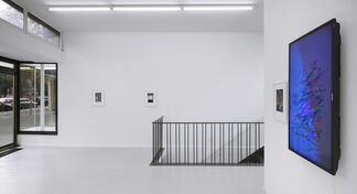 Ken Okiishi: Eggleston und Andere, "reality bites", installation view