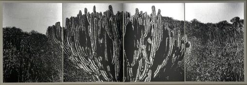 Jan Hendrix, ‘Book VI, b’, 2016