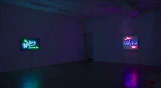 Clichés To Live By | Pat Webster, installation view