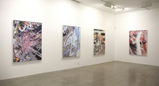 Carmon Colangelo: Infinite Abstraction, installation view