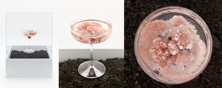 Ane Graff, ‘The Goblets (The Soil Edition) 4’, 2021