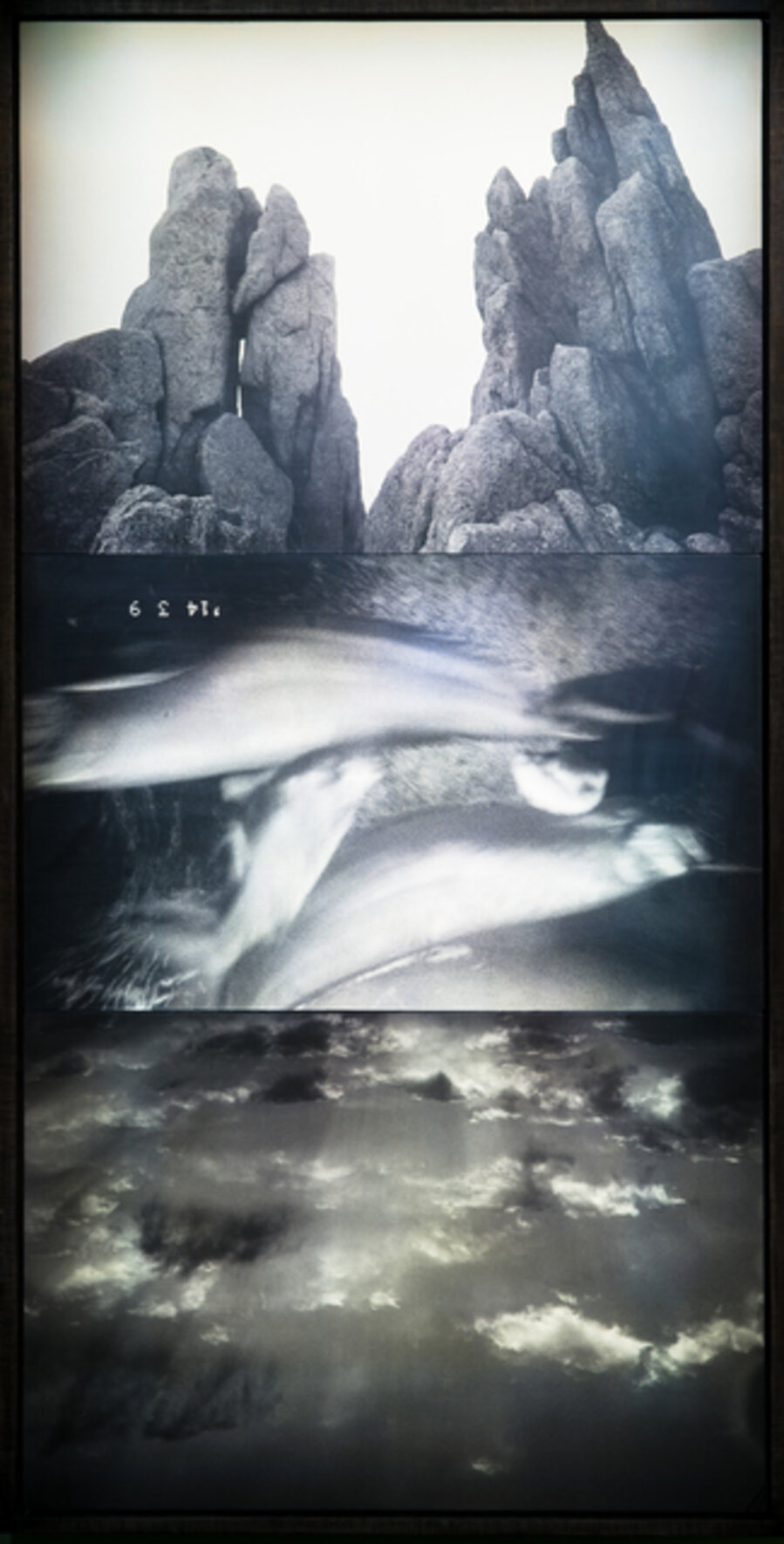 For a Bigger Photo 2015-5 为了更大的照片2015-5