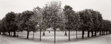 Dick Arentz, ‘Fountainebleau Trees, France’, 1994