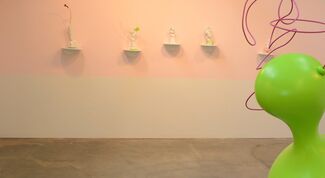 Roberley Bell: some things, installation view