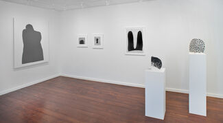 Amy Pleasant: Blink, installation view
