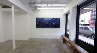 Knowledge Comes with Death's Release : Beate Geissler/Oliver Sann, installation view