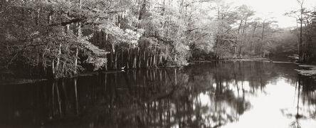 Dick Arentz, ‘Suwannee River with Egret, FL’, 1992