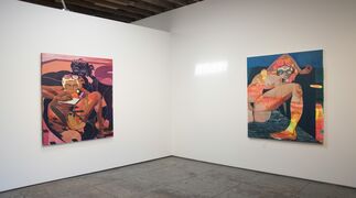 Marty Schnapf: Fissures in the Fold, installation view