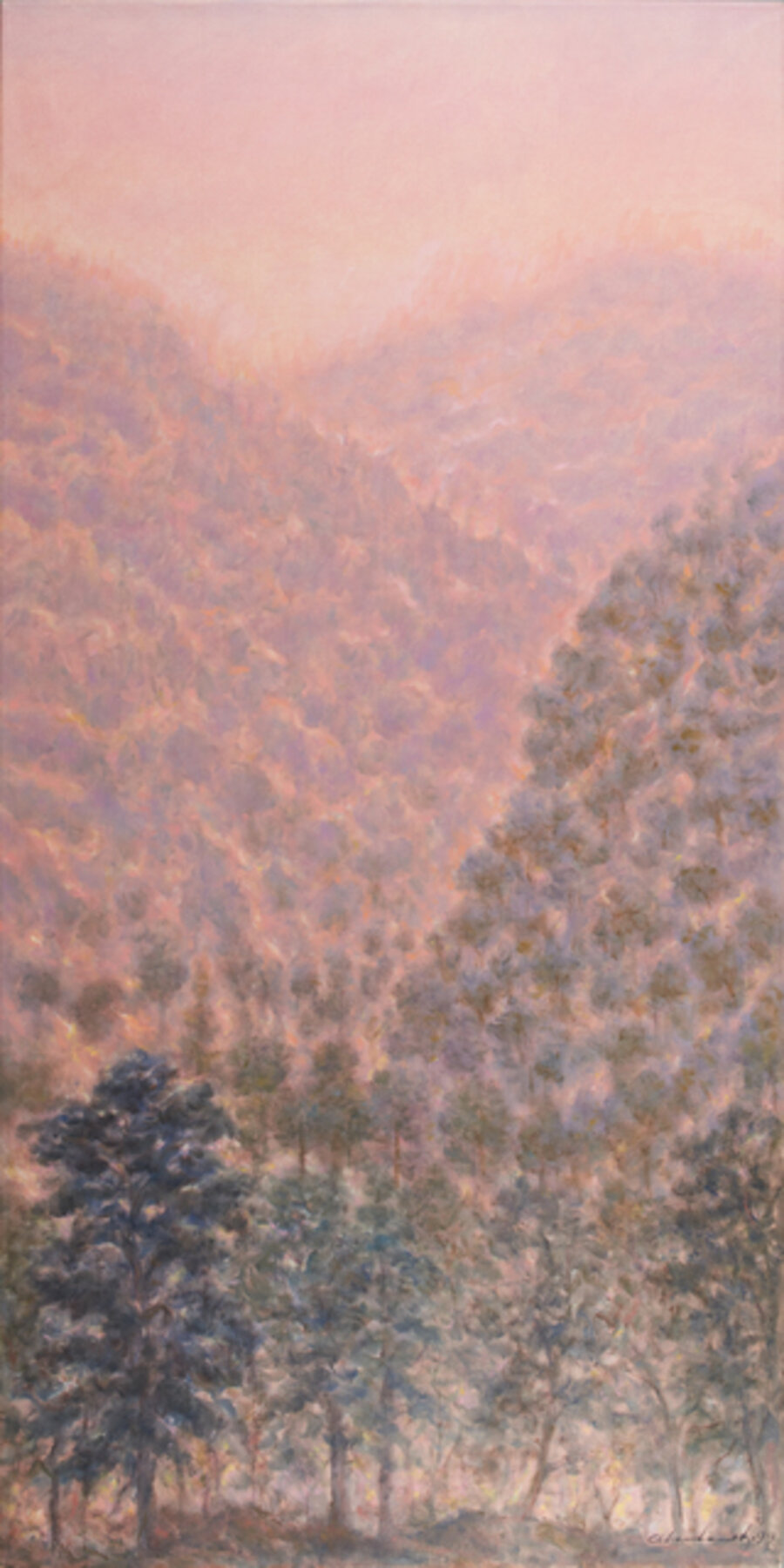 Montes y Llamas