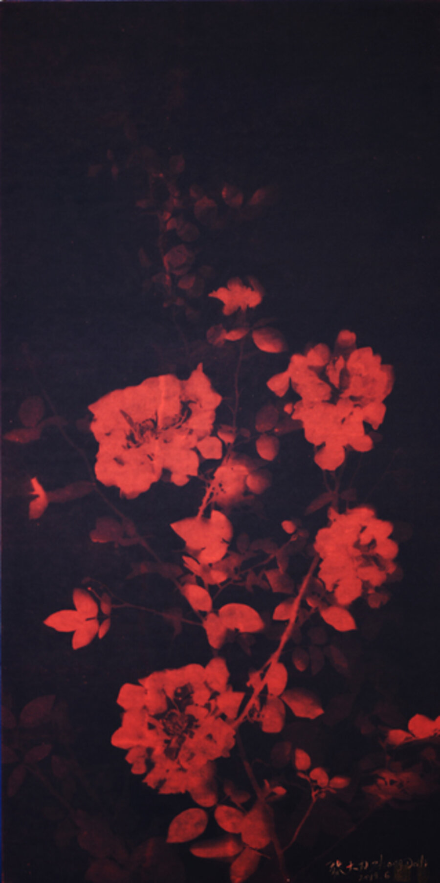 Rose No.11