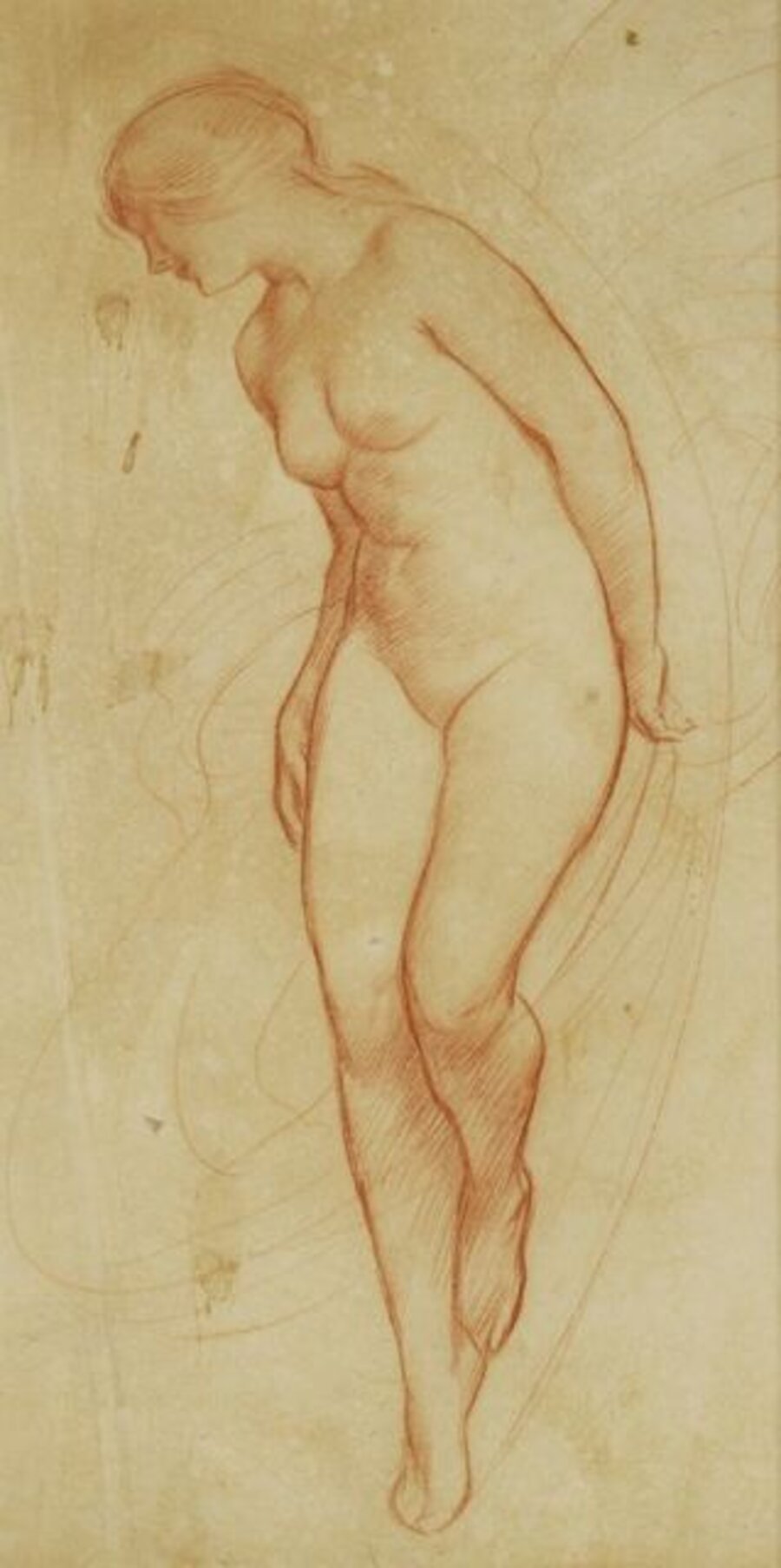 'VENUS'