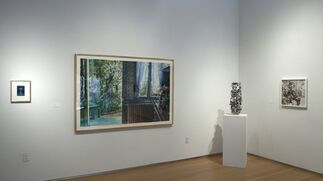 Summer Gardens: Representational and Abstract, installation view