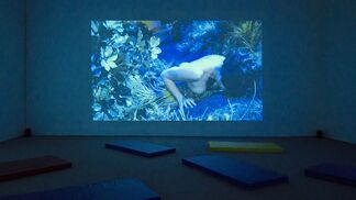 Paul McCarthy: Innocence (Video Works 1970-2013), installation view