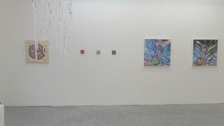 Unique to the Nature, installation view