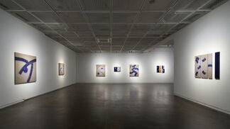 SHAPE OF BLUE, installation view