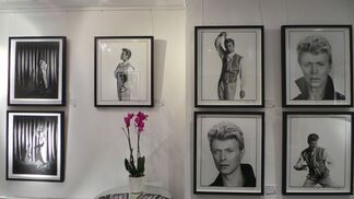 Tony McGee - David Bowie "Unseen", installation view