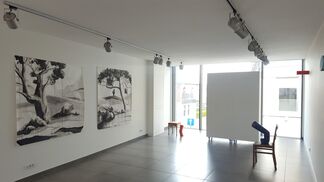 Klaus Verscheure & Henk Delabie: Duo Exhibition, installation view