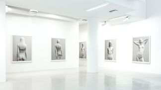 Don Brown - Yoko, installation view