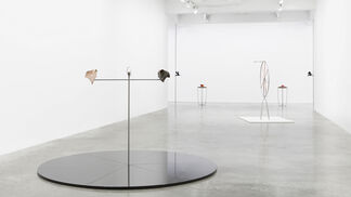 Julia Phillips: New Album, installation view
