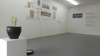Proto5533: Ghaith Mofeed - The value of a cell, installation view