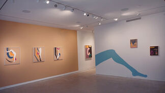 Dream Sellers, installation view