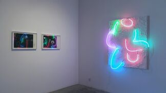 Brandon Andrew: The Roughs, installation view