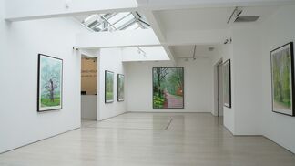 David Hockney: The Arrival of Spring, installation view