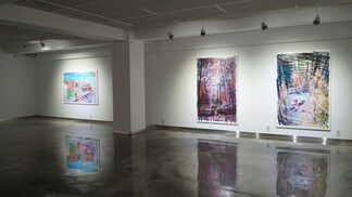Jung Jin Solo Exhibition, installation view