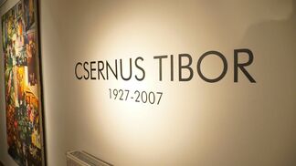 Tibor Csernus, installation view