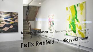 Accurate Reasons- Contemporary German & Japanese Art, installation view