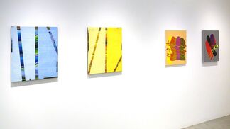 Younger Than George - 12 Painters in their 20s and 30s: Sara Bright, Amanda Curreri, Rebekah Goldstein, Michael Kindred Knight, Erin Loree, Heather Gwen Martin, Katrin Maeurich, Jacob Melchi, Jenny Sharaf, Brandon Shimmel, Laina Terpstra, Zhiyuan Wang, installation view