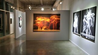 Roberto Lombana -  Light and Movement, installation view