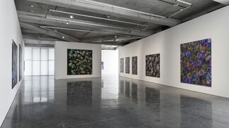 The Bubbles are in Istanbul, installation view