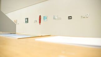 CATS THAT I HAVE KNOWN, installation view