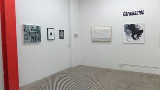 Chromacide: An Exhibition in Grayscale, installation view